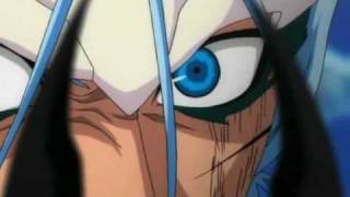 Bleach: Kurosaki Ichigo VS. Grimmjow JaggerJack FINAL ROUND (6/6)