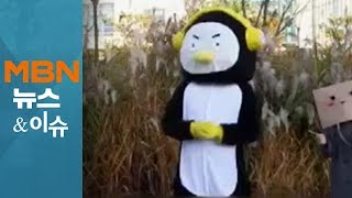 "섭외가 어려워"…그렇다면 펭수 대신 '펑수'[MBN 뉴스앤이슈]