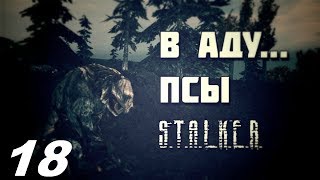 Прохождение. S.T.A.L.K.E.R. В Аду...Псы. #18. Рискованное дело.
