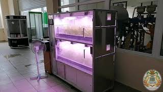 Испытания импульсного освещения для растений