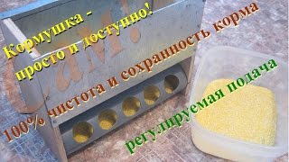 Самодельная бункерная кормушка для цыплят