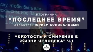 "Последнее время". Кротость и смирение в жизни человека. Часть 1