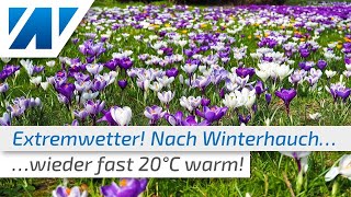 Extremwetter: Fast 20°C am Wochenende! Winterhauch weggeblasen! Was bedeutet das für den Februar?