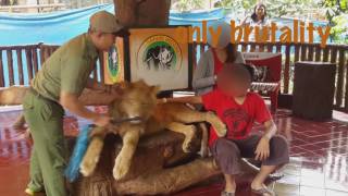Shocking pictures shows animal suffering in circuses