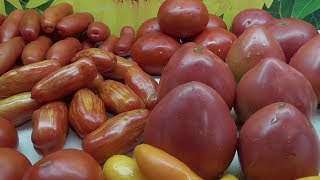 САМЫЕ КРУПНЫЕ ТОМАТЫ ДЛЯ ОТКРЫТОГО ГРУНТА. Ольга Чернова.