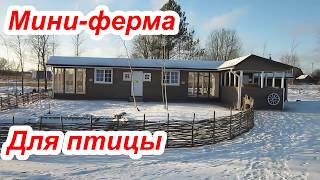 Мини-ферма