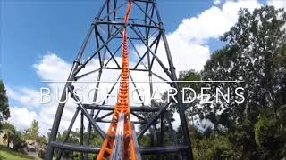 TIGRIS - BUSCH GARDENS!
