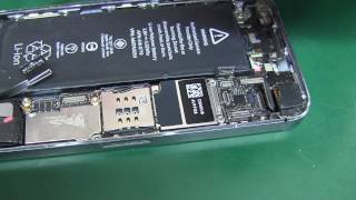iPhone 5s утопленник в КЗ и еще одна причина.