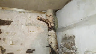 Русская баня своими руками Каменка с прямым нагревом камней