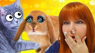 ДРУЖБА КОТА И КРОЛИКА. ПЕРВАЯ РЕАКЦИЯ КОТА МАКСА / Галчата тв