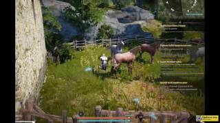 Black Desert: квест Любовь зла