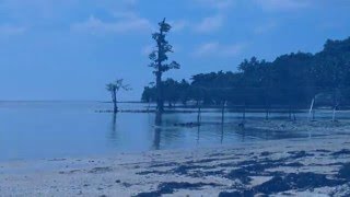 Tanjung Kasuari Beach, Sorong Indonesia | Pantai Tanjung Kasuari, Sorong Indonesia