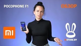 Xiaomi Pocophone F1: прорыв года