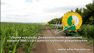 Полив кукурузы Дождевальными машинами Харвест 500/110