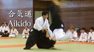 合気道 ‐ 白川竜次先生の自由技 Aikido - Shirakawa Ryuij sensei JIYU Waza