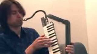 Melodica New style / P-cat37