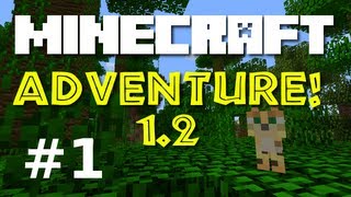 Minecraft Adventure! E01 "Hole in the Ground!"  (Minecraft 1.2 Game-play)