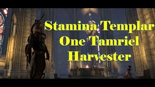 Stamina Templar DPS for One Tamriel [The Harvester]