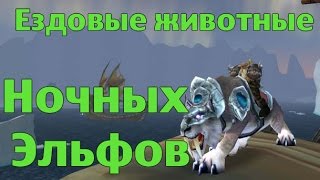 Ездовые животные Ночных Эльфов или где купить Саблезубов и Ледопардов