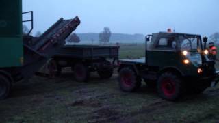 MB Trac m. Jenz AZ 35