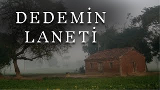 ALKARISI - Bütün Bir Soyu Lanetledi  (Korku Hikayeleri - Cin Hikayeleri)