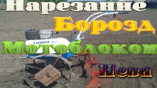 Нарезание борозд мотоблоком Нева