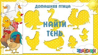 Развивающие занятия: Найти тень - домашняя птица, развитие ребенка