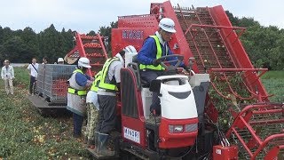 収穫作業を実演　カゴメ「ＫＴＨ」　茨城町