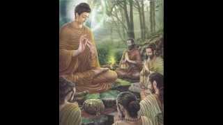 วัฏจักรชีวิต 025 วันเกิดโยมสุนีย์