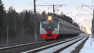 Электропоезд ЭД4М-0460 ЦППК перегон Петелино - Голицыно