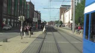 Straßenbahn Rostock linia 6 cz.II