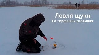 Рыбалка в метель. Торфяные разливы - Сергеевичи. Ловля щуки на ставки (жерлицы)