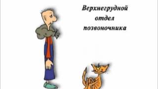 Гимнастика при ВСД (по Норбекову)