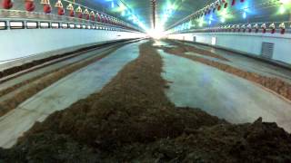 Cleaning a poultry farm (camera in loader)