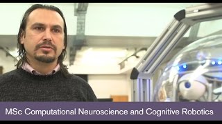 MSc Computational Neuroscience and Cognitive Robotics
