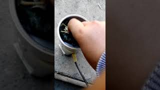 Старая кофемолка