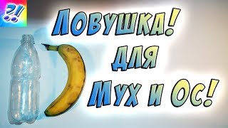 Ловушка для летающих насекомых: мух, ос, комаров. Trap for flies, wasps, and mosquitoes.