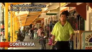 "Cultivos de Coca en Colombia" Parte1-CONTRAVÍA