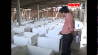 ► “Kỹ sư” chân đất nuôi Dế Low