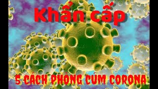 5 Cách Phòng Tránh Virus Corona (Cúm Vũ Hán)
