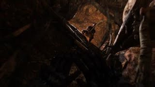 Far Cry® Primal Обмоченный!
