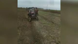 BELARUS 820 , BELARUS 892,BELARUS 892.2,пашут сами .Пулуги ÜNLÜ.Приколы на поле.3 трактора