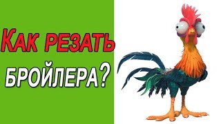 Как резать бройлера, забой кур