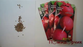 Семена Редиски Жара - Помидорчик