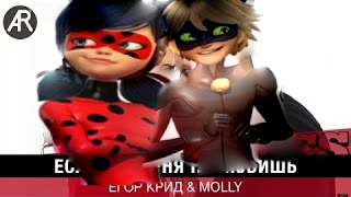?Леди баг и супер кот"Егор крид и MOLLY"?Если ты меня не любишь?