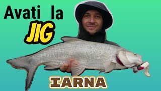 Pescuit la avat iarna. Avati la jig. Winter asp fishing.