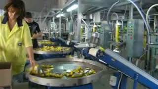 Упаковочное оборудование. Автомат для фасовки жидких и пастообразных продуктов