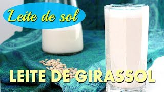 LEITE DE LUZ DO SOL: conheça o LEITE DE SEMENTE DE GIRASSOL! Sem lactose