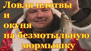 Ловля плотвы и окуня в глухозимье на безмотыльную мормышку. Техника ловли на безмотылку.