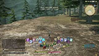 FF１４　零式４層練習
